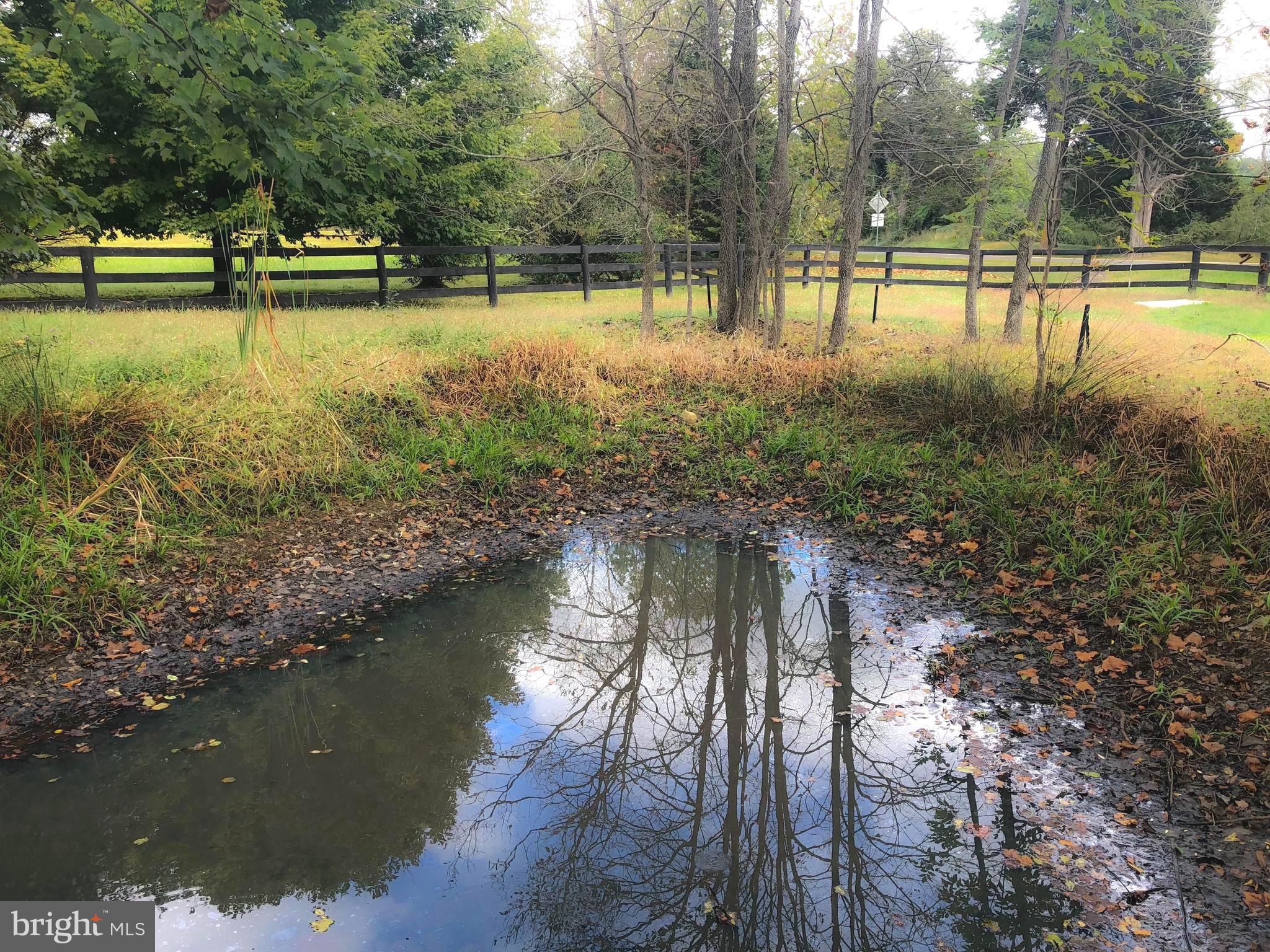 8478 Springs Road Warrenton, VA 20186 - Photo 43 of 45 Pond