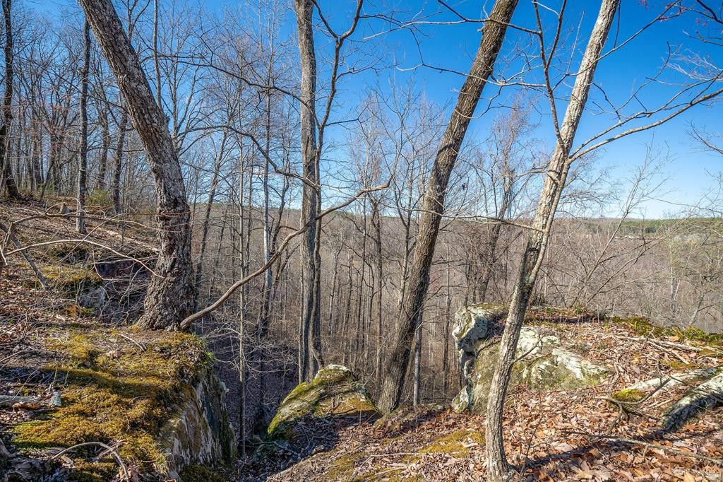 1591 Low Gap Road Sparta, TN 38583 - Photo 86 of 91