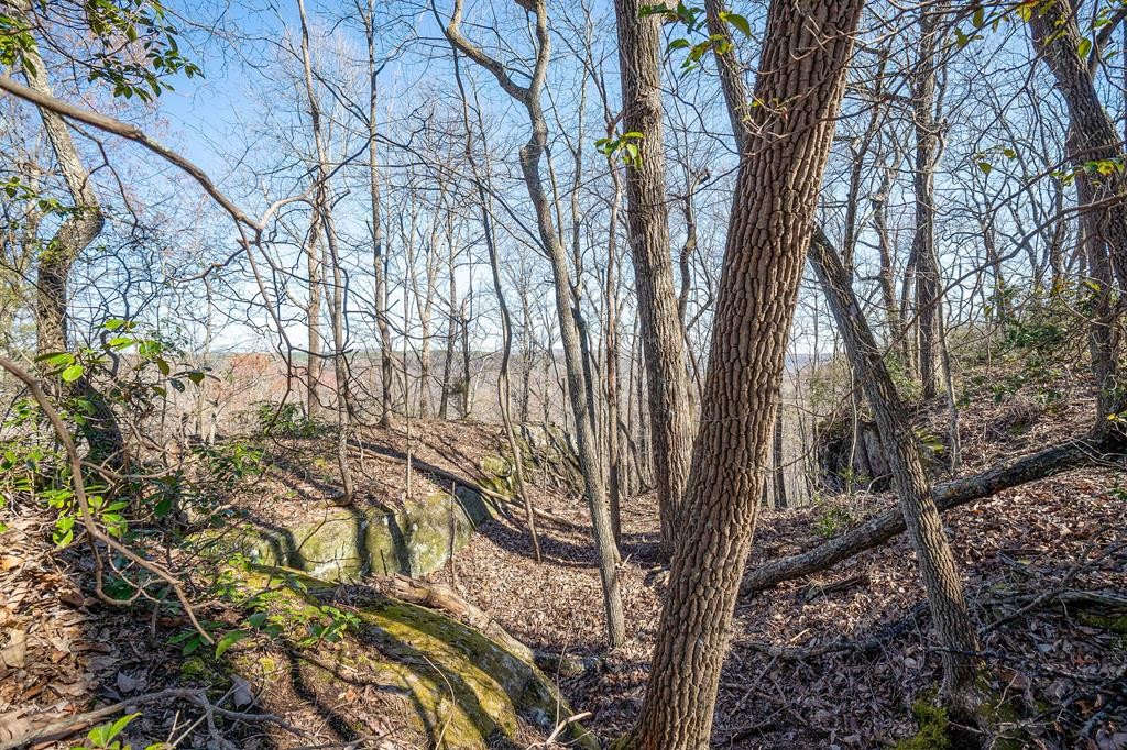 1591 Low Gap Road Sparta, TN 38583 - Photo 90 of 91