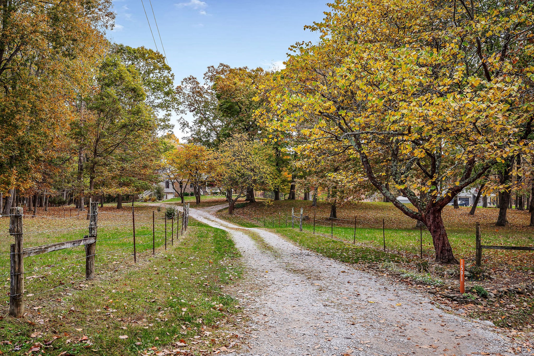 1591 Low Gap Road Sparta, TN 38583 - Photo 9 of 91