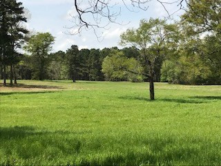 Lot T-2 Lot T-2 Burkelo Road Wagener, SC 29164 - Photo 12 of 15
