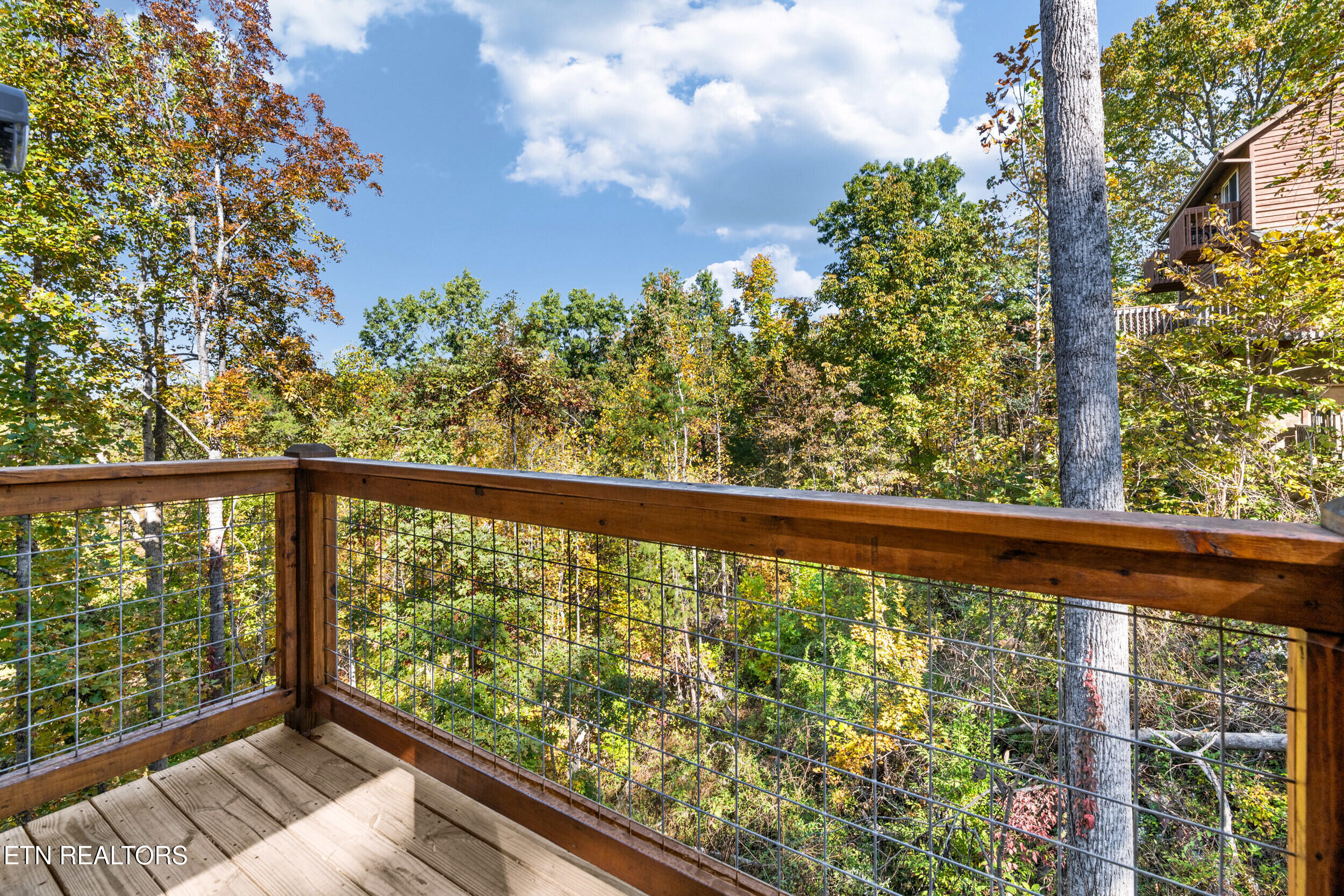 2876 Pine Haven Drive Sevierville, TN 37862 - Photo 42 of 59 2876 pine haven dr-42