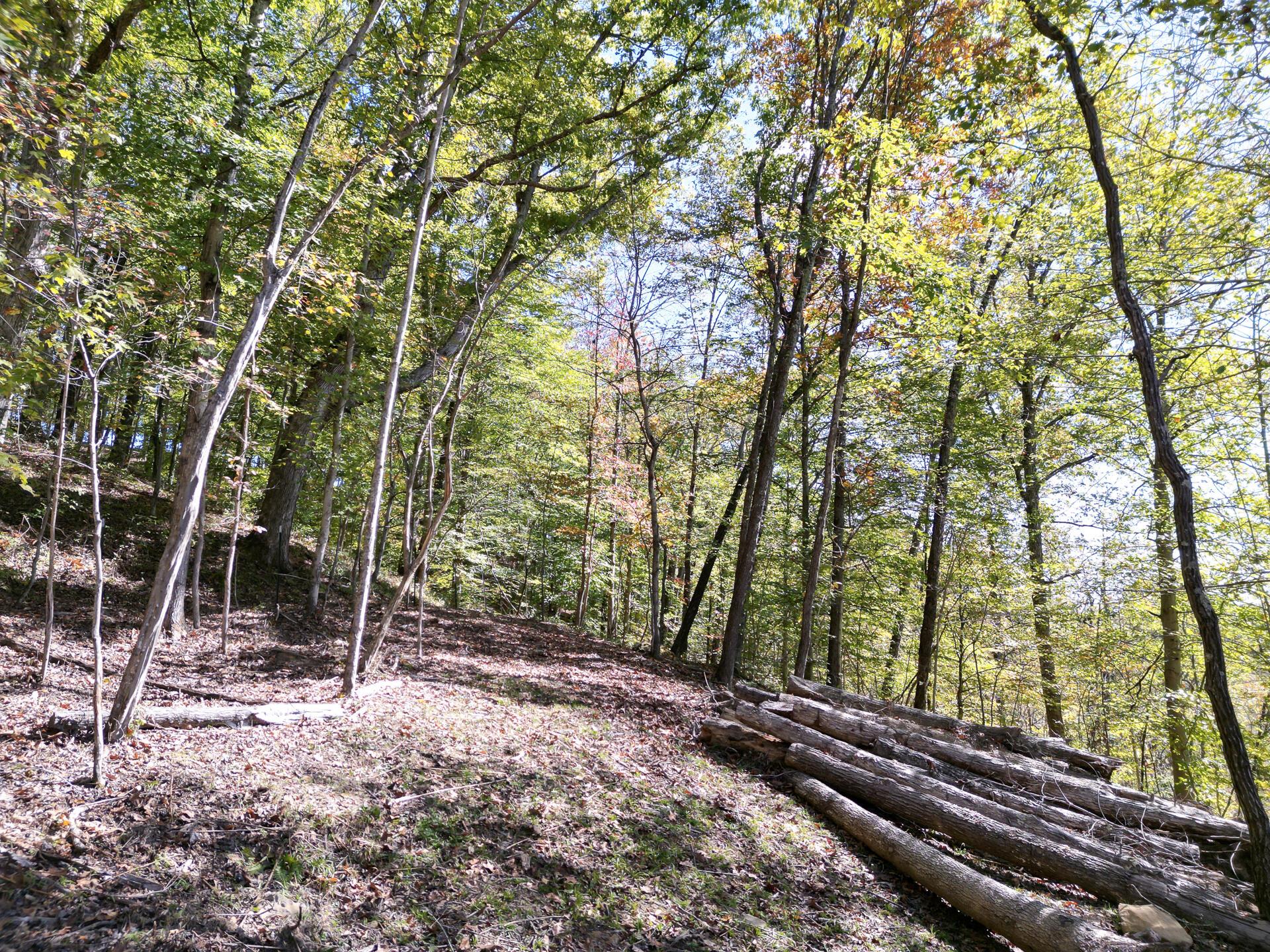 1462 Keystone Road, Unit RACCOON CREEK ADVENTURES) Vinton, OH 45686 - Photo 33 of 69