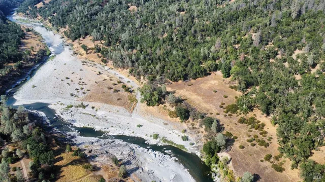a view of a dry yard with lots of trees