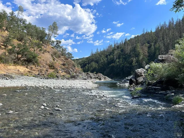 a view of a bunch of trees in a field
