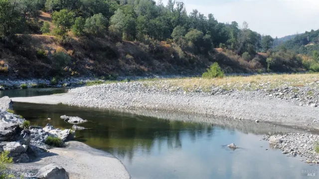 a view of a forest with trees