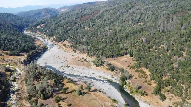 a view of a tree with a yard
