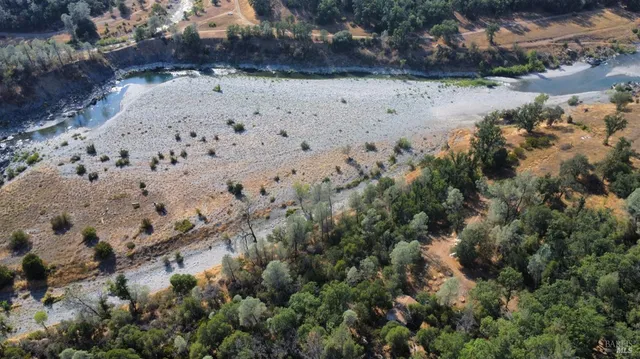 a view of a tree with a yard