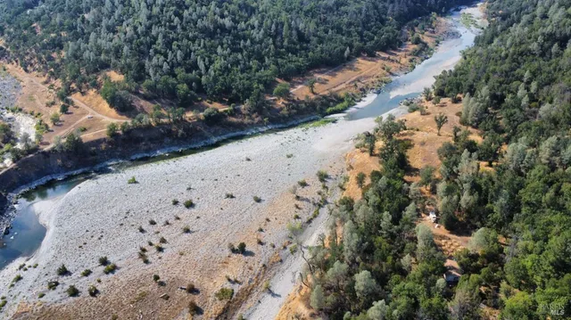 a view of a tree with a yard
