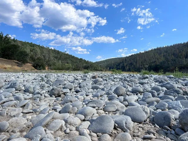 a view of a bunch of trees