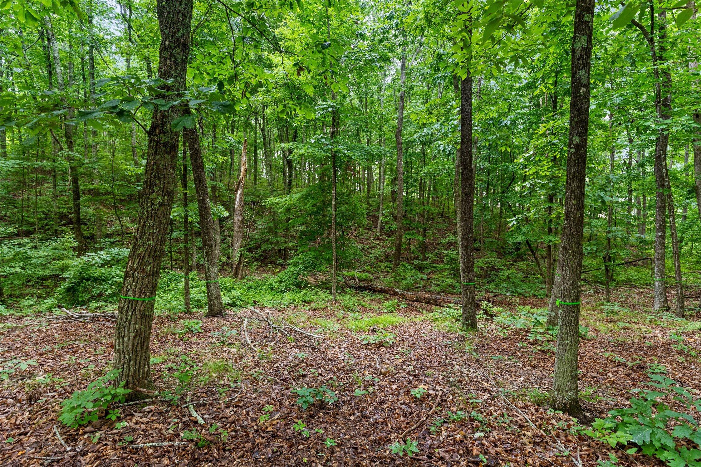 4260 Amethyst Road, Unit 930 Chattanooga, TN 37419 - Photo 11 of 24 11-4260 Amethyst-9