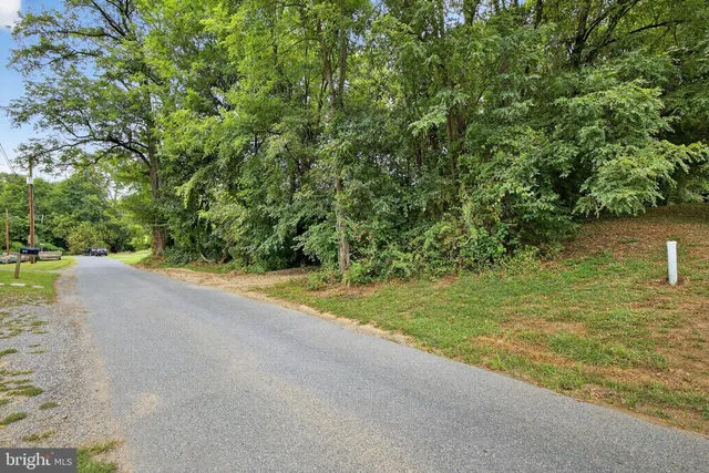 a view of a road with plants and bushes