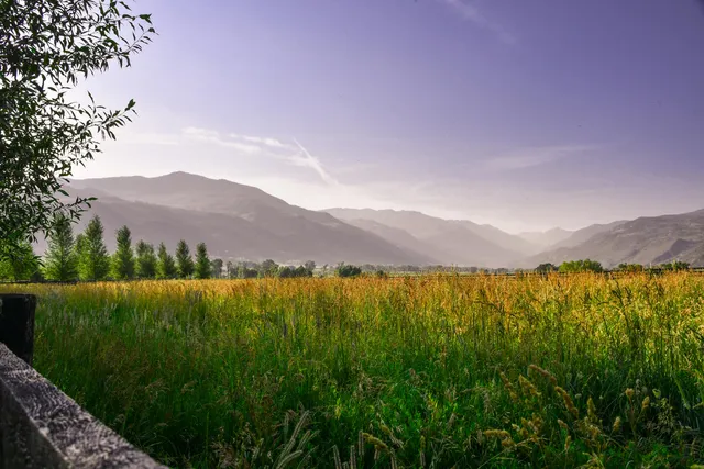 $19,500,000 | 6154-5636 County Road 23, Ridgway, CO 81432