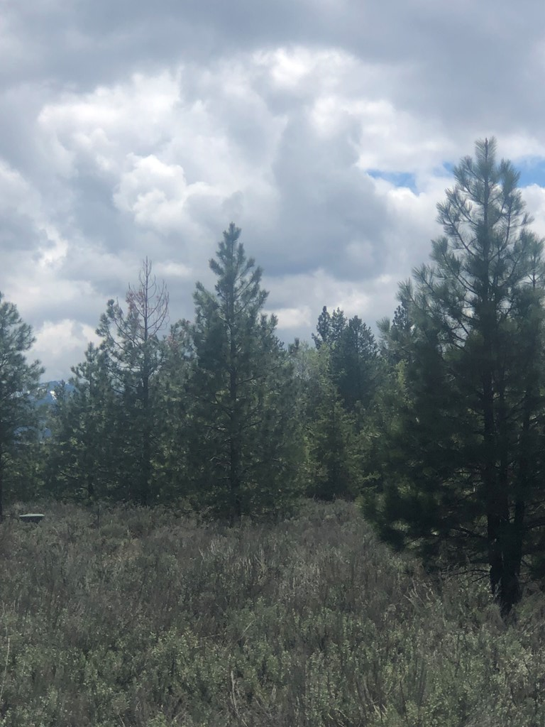 Tbd Bitterroot Court, Unit 20 McCall, ID 83638 - Photo 6 of 19