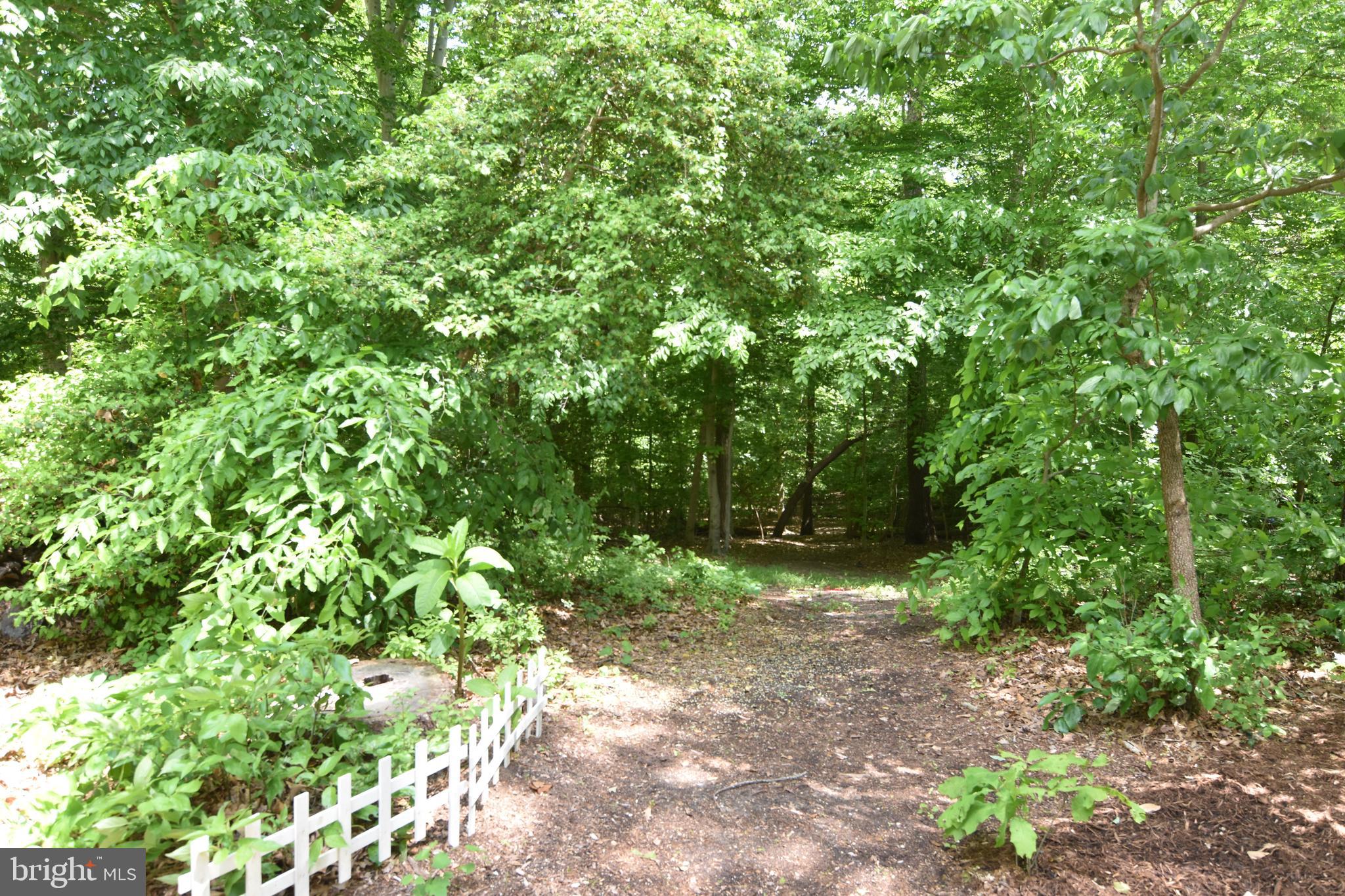 25030 McIntosh Road Hollywood, MD 20636 - Photo 65 of 69 Gallery Image 65