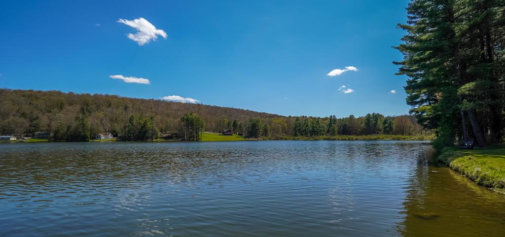 401 Woodland Pnes Road Athens, PA 18810 - Photo 28 of 33 Gallery Image 28