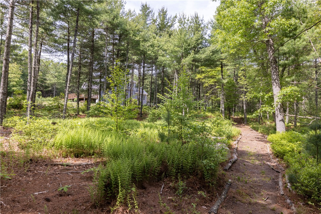 216 Plain Road West Greenwich, RI 02817 - Photo 11 of 43