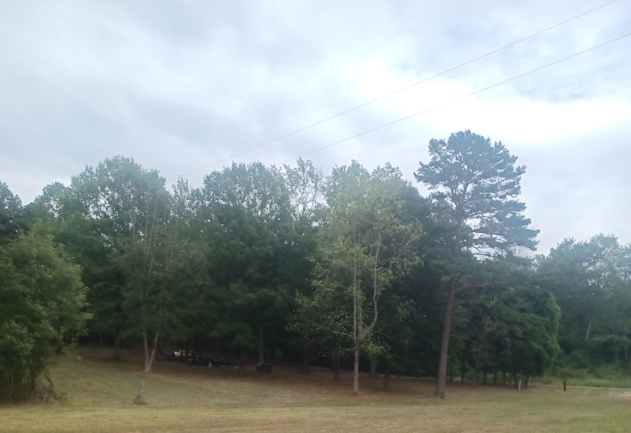 567 Rawls Road Palmersville, TN 38241 - Photo 11 of 11