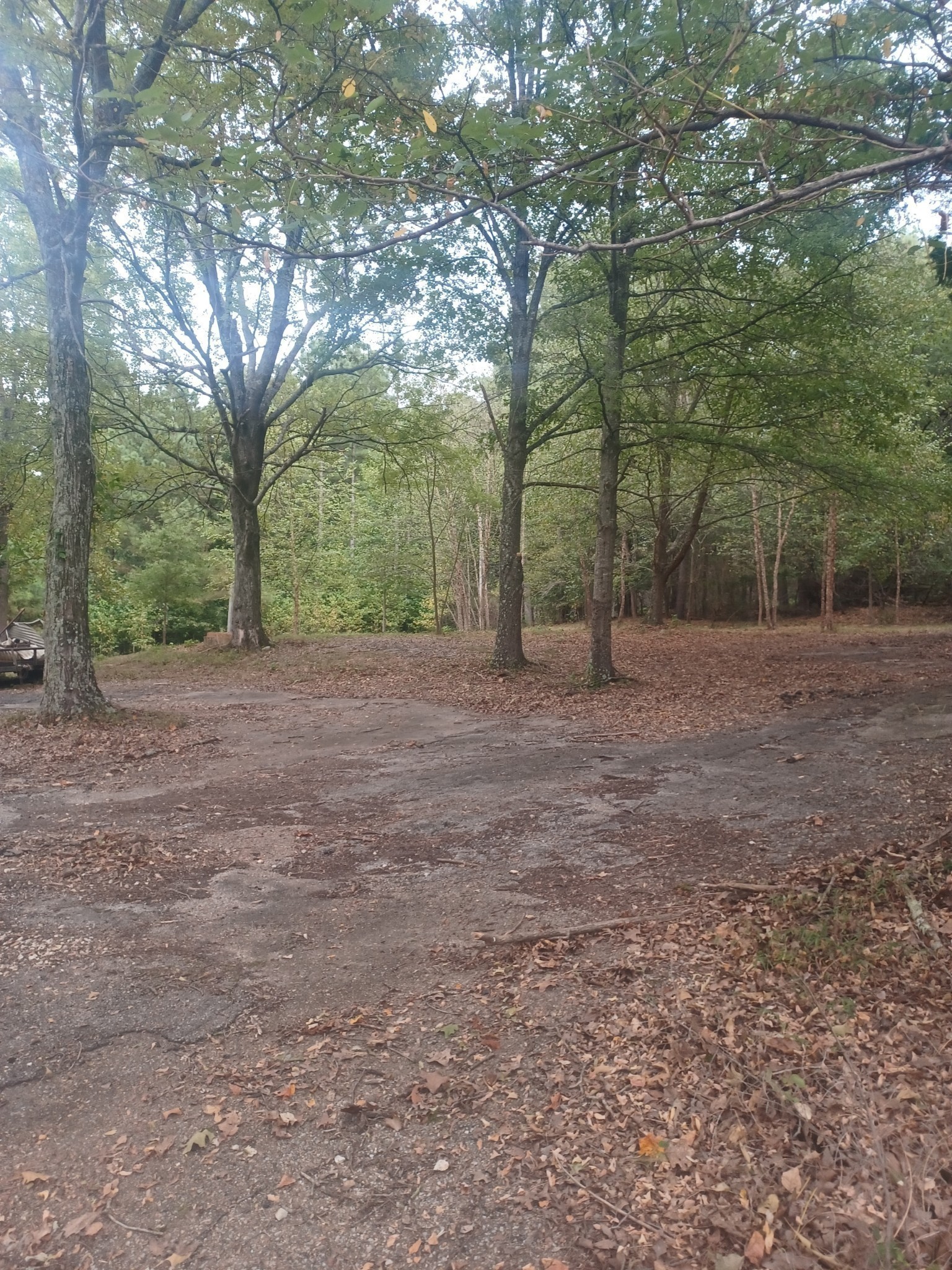 567 Rawls Road Palmersville, TN 38241 - Photo 7 of 11