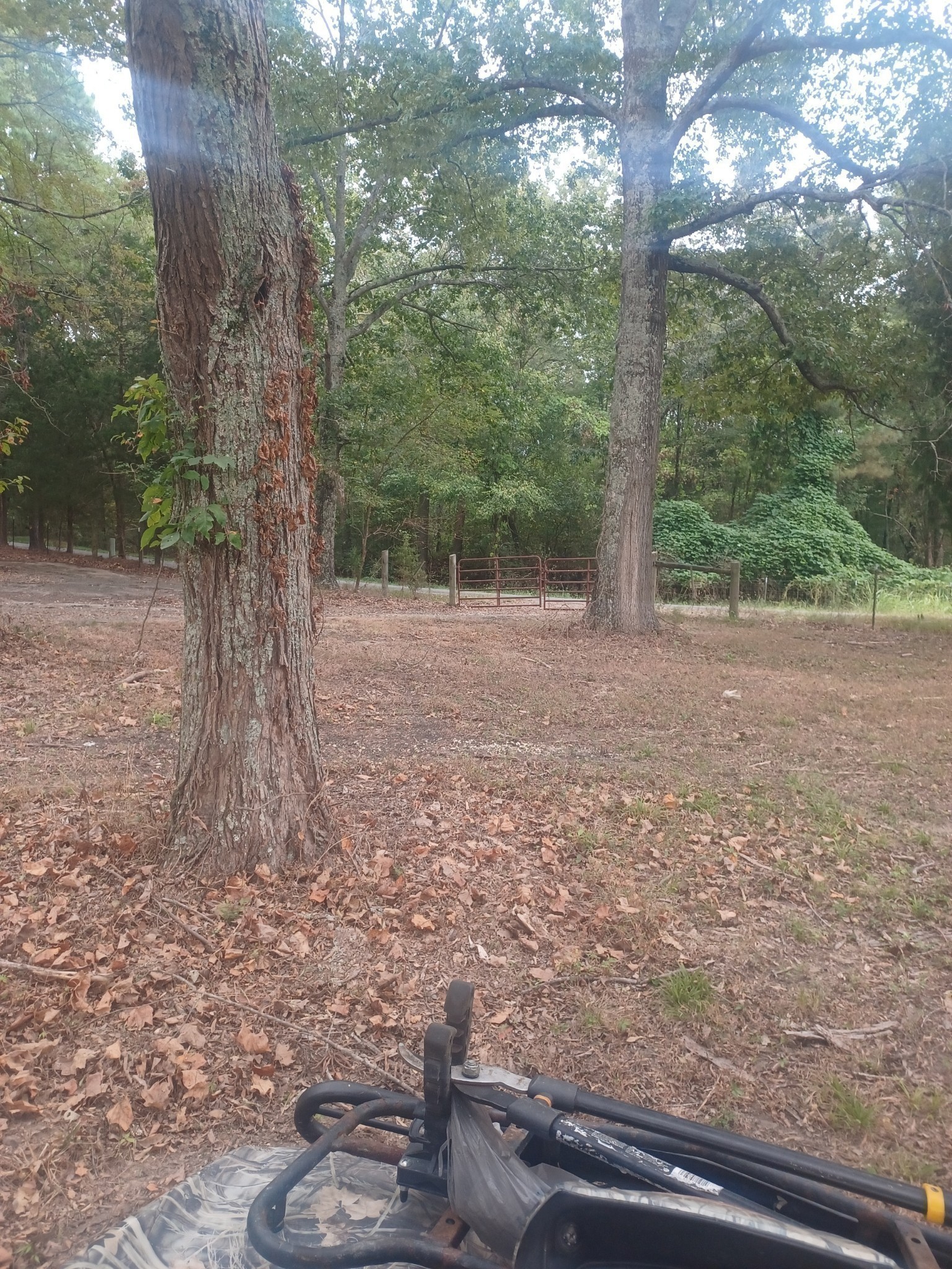 567 Rawls Road Palmersville, TN 38241 - Photo 9 of 11