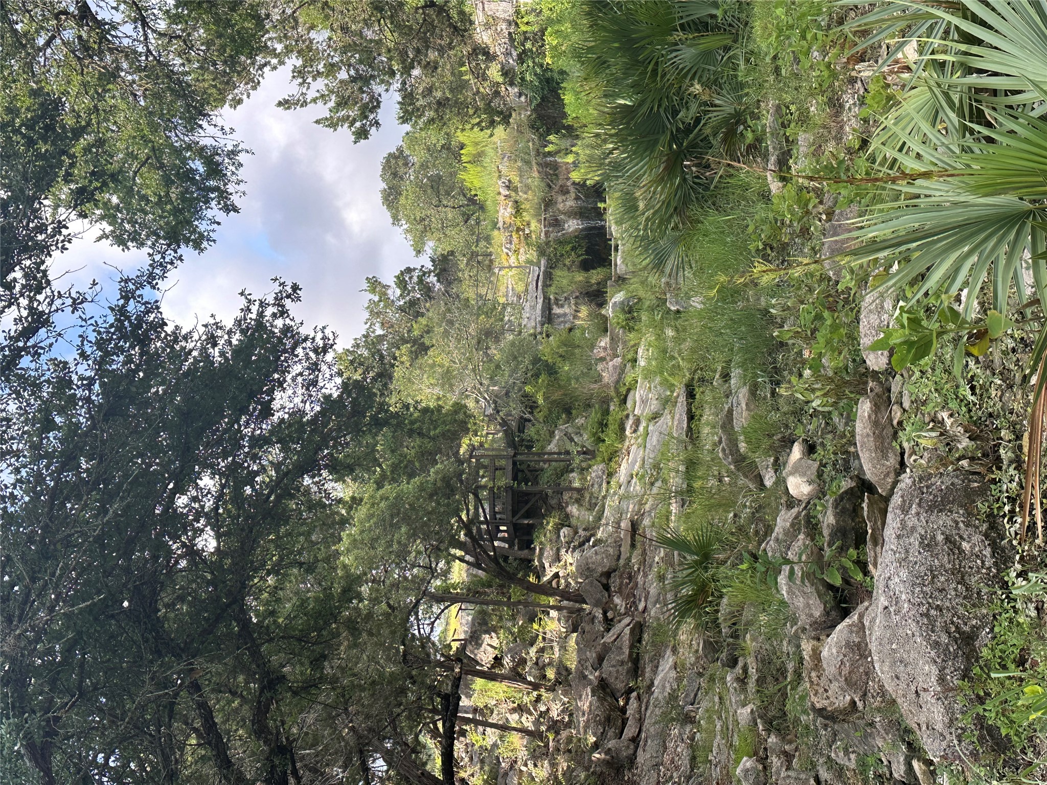 0 Lantana Gold Spring Branch, TX 78070 - Photo 21 of 26 A natural landscape with lush greenery and scattered rocks, offering serene views.