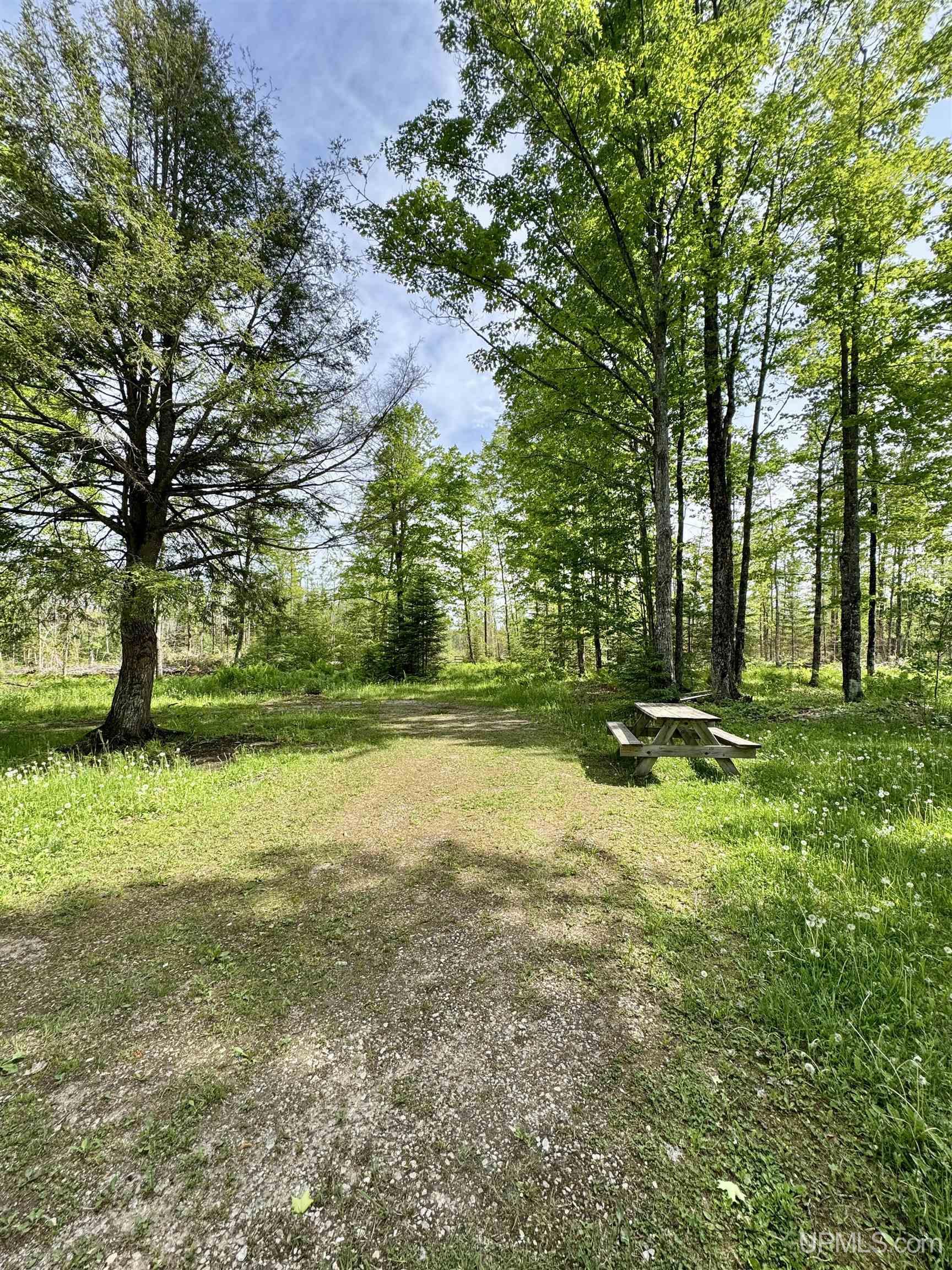 3601 Cr444 Road Rock, MI 49880 - Photo 77 of 78