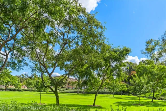 a view of a park with large trees