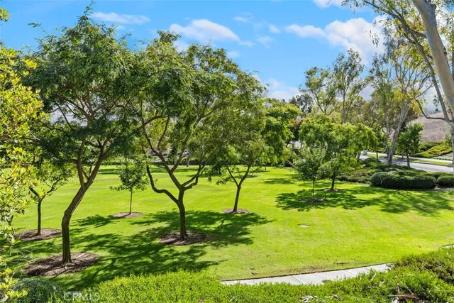 a view of yard with large trees