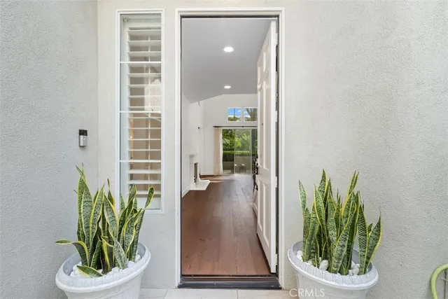 a view of a hallway with wooden floor and a potted plant