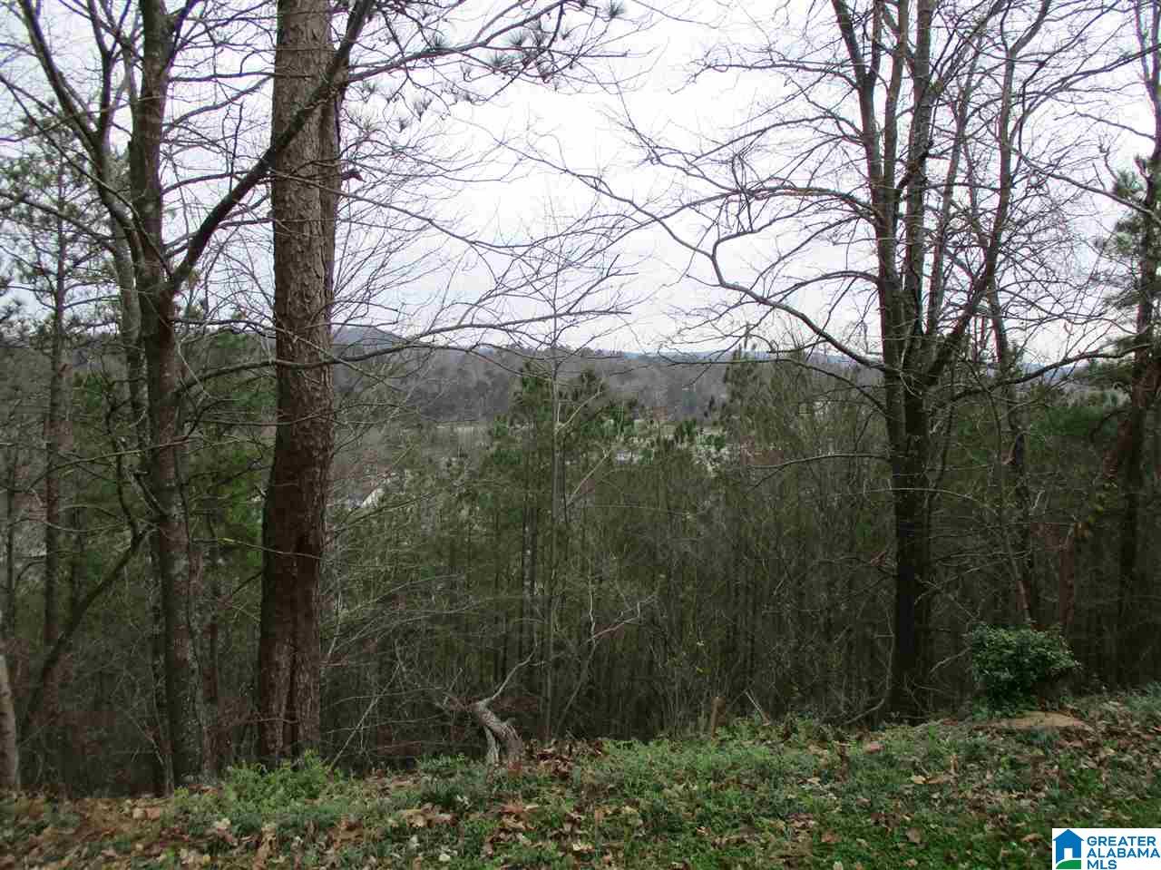 228 Cambrian Ridge Trail Pelham, AL 35124 - Photo 19 of 22