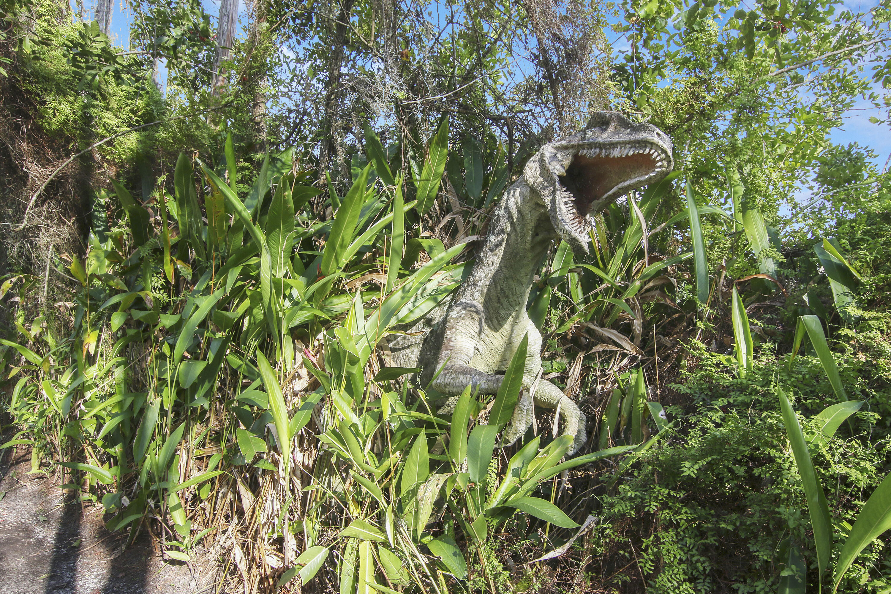 19900-addl Southeast Mack Dairy Road Jupiter, FL 33478 - Photo 30 of 50 Jurassic? Have fun