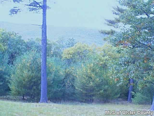 0 Ridgeview Road Saugerties, NY 12477 - Photo 1 of 1 Photo 1