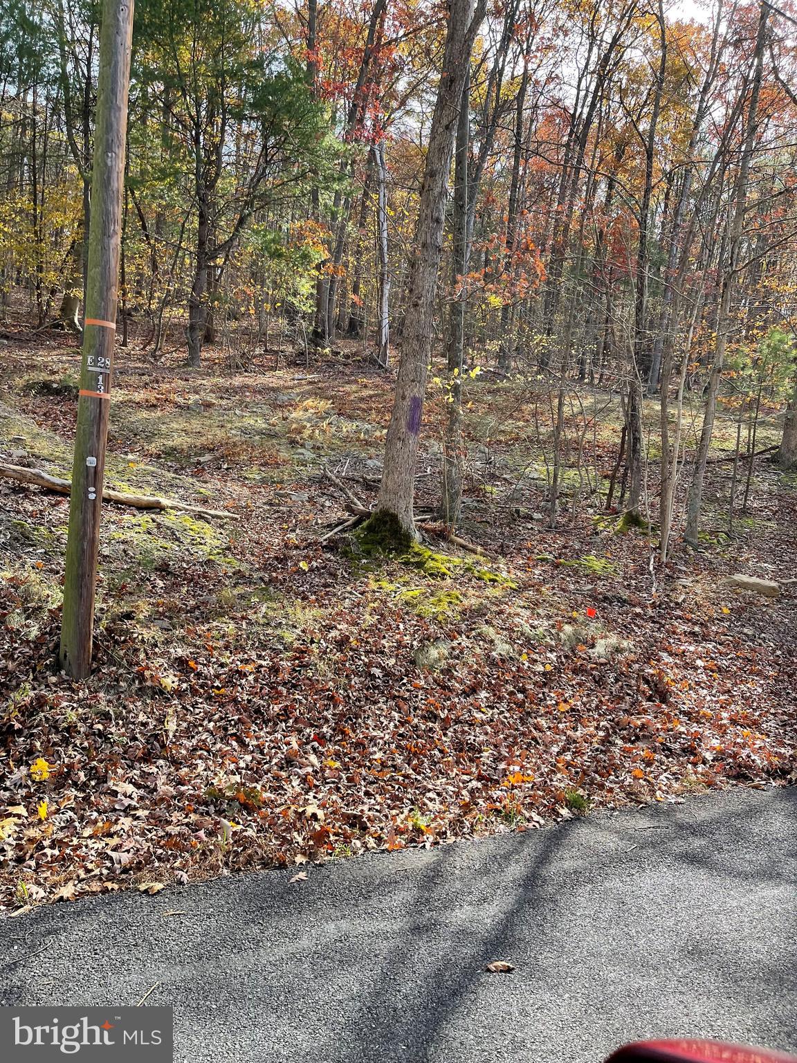 Berry Ridge Road East Waterford, PA 17021 - Photo 2 of 5 Gallery Image 2