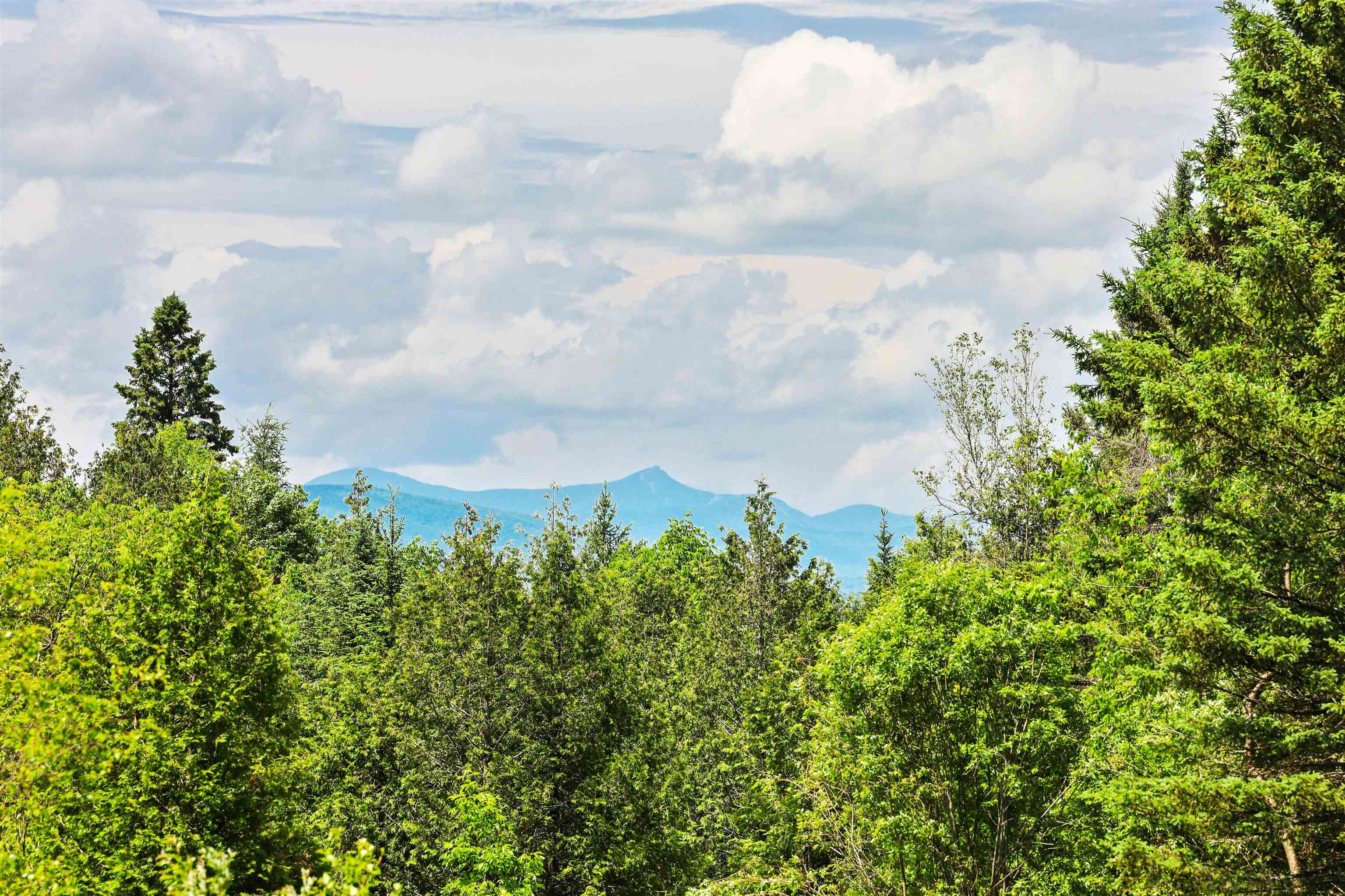 1435 Dexter Mountain Road Glover, VT 05839 - Photo 6 of 25