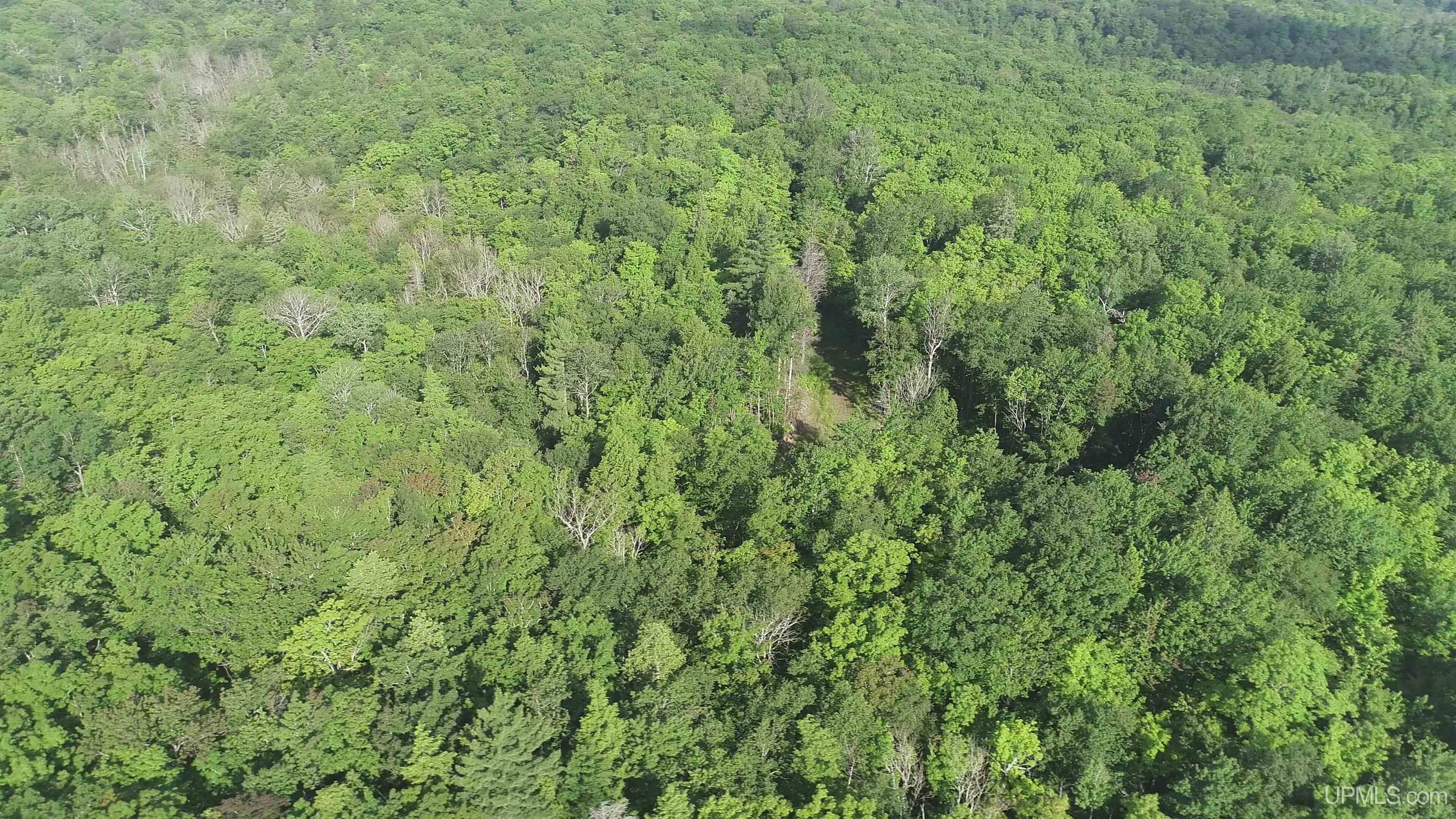 510 Rd Ishpeming Mi 49849 Road Negaunee, MI 49866 - Photo 24 of 33