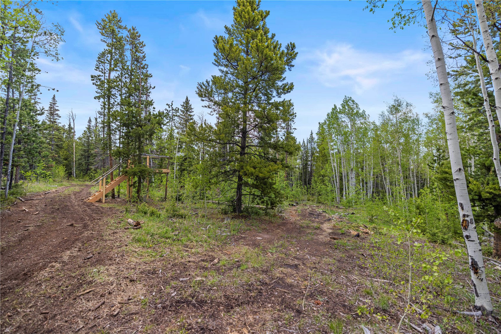 336 Blue Spruce Road Silverthorne, CO 80498 - Photo 16 of 28