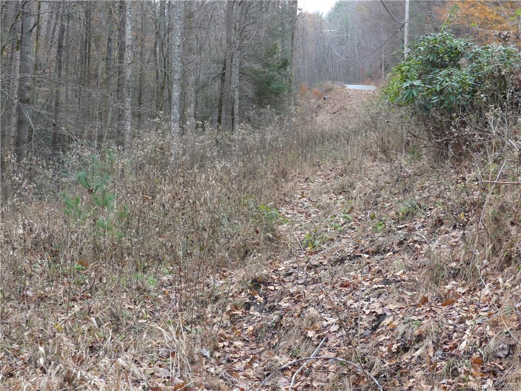Tbd Elk Creek Road Deep Gap, NC 28618 - Photo 11 of 13 Gallery Image 11