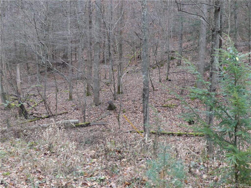 Tbd Elk Creek Road Deep Gap, NC 28618 - Photo 12 of 13 Gallery Image 12