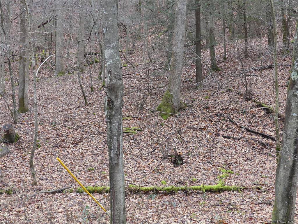 Tbd Elk Creek Road Deep Gap, NC 28618 - Photo 13 of 13 Gallery Image 13