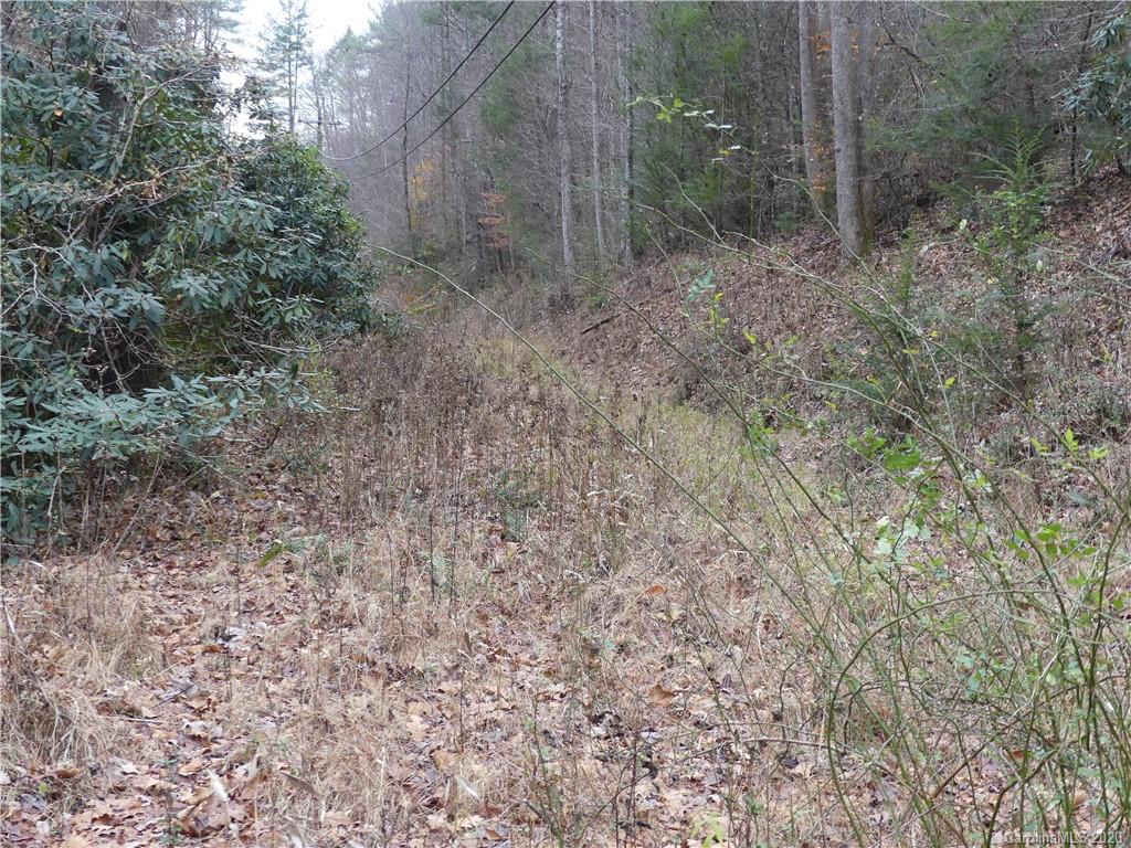 Tbd Elk Creek Road Deep Gap, NC 28618 - Photo 8 of 13 Gallery Image 8