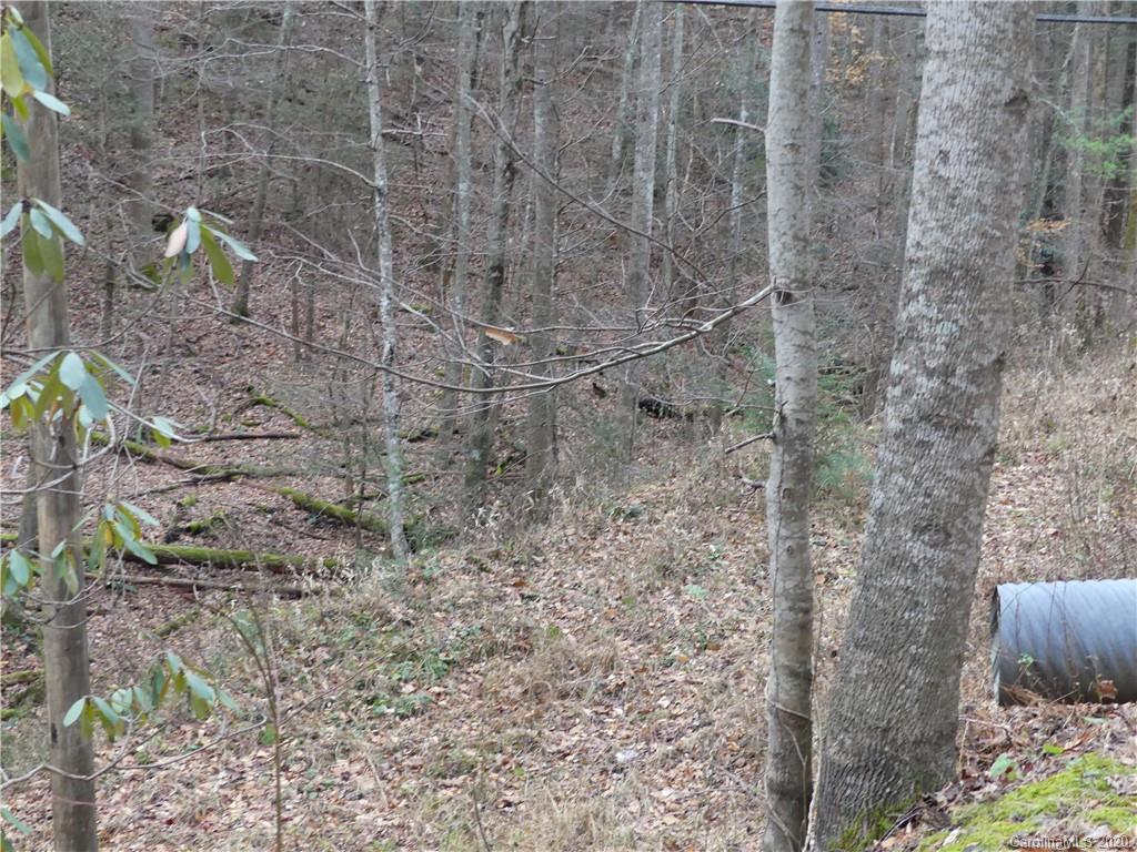 Tbd Elk Creek Road Deep Gap, NC 28618 - Photo 10 of 13 Gallery Image 10