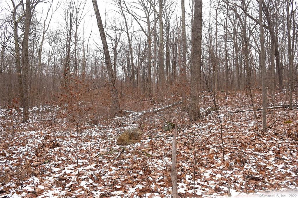 1 Steward Hollow Road Sharon, CT 06069 - Photo 1 of 1