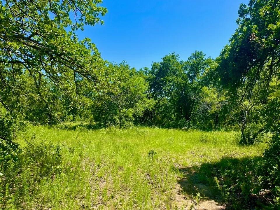 Lot 39 Kilkenny Road Poolville, TX 76487 - Photo 2 of 3 View of nature