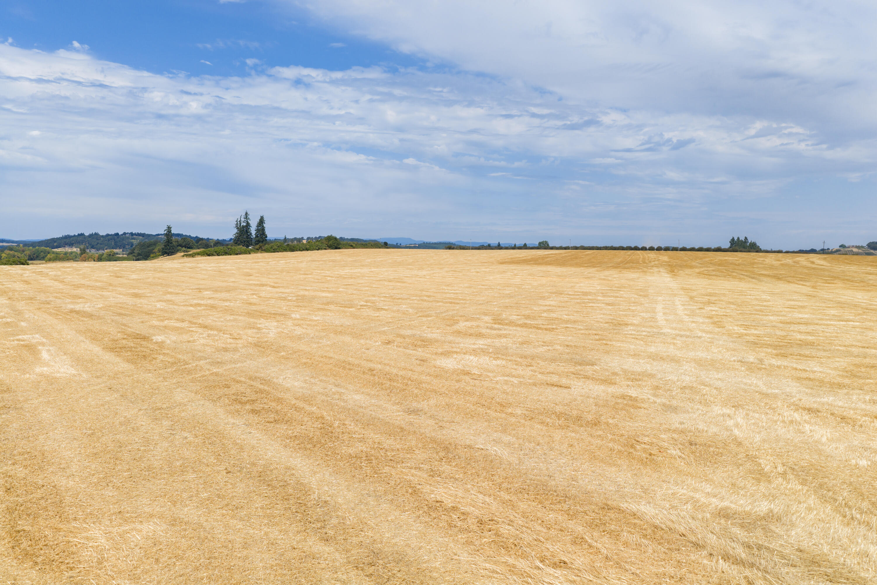 0 Smithfield Road Dallas, OR 97338 - Photo 13 of 18 MIT-12