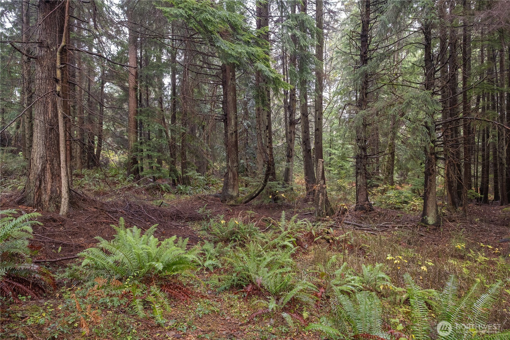 2682 Busby Road Oak Harbor, WA 98277 - Photo 9 of 23 Gallery Image 9