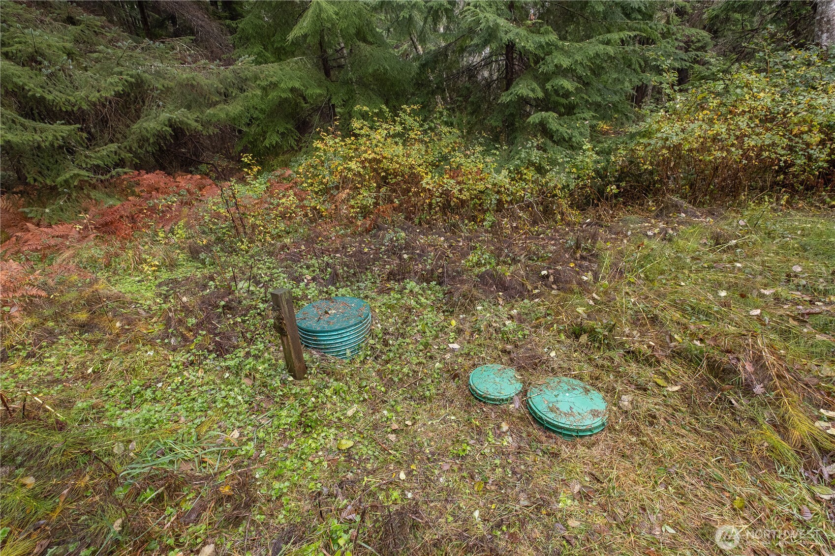 2682 Busby Road Oak Harbor, WA 98277 - Photo 10 of 23 Gallery Image 10