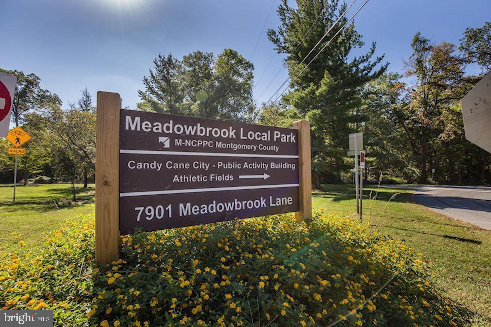 9004 Jones Mill Road Chevy Chase, MD 20815 - Photo 36 of 39 Close to the Meadowbrook Local Park