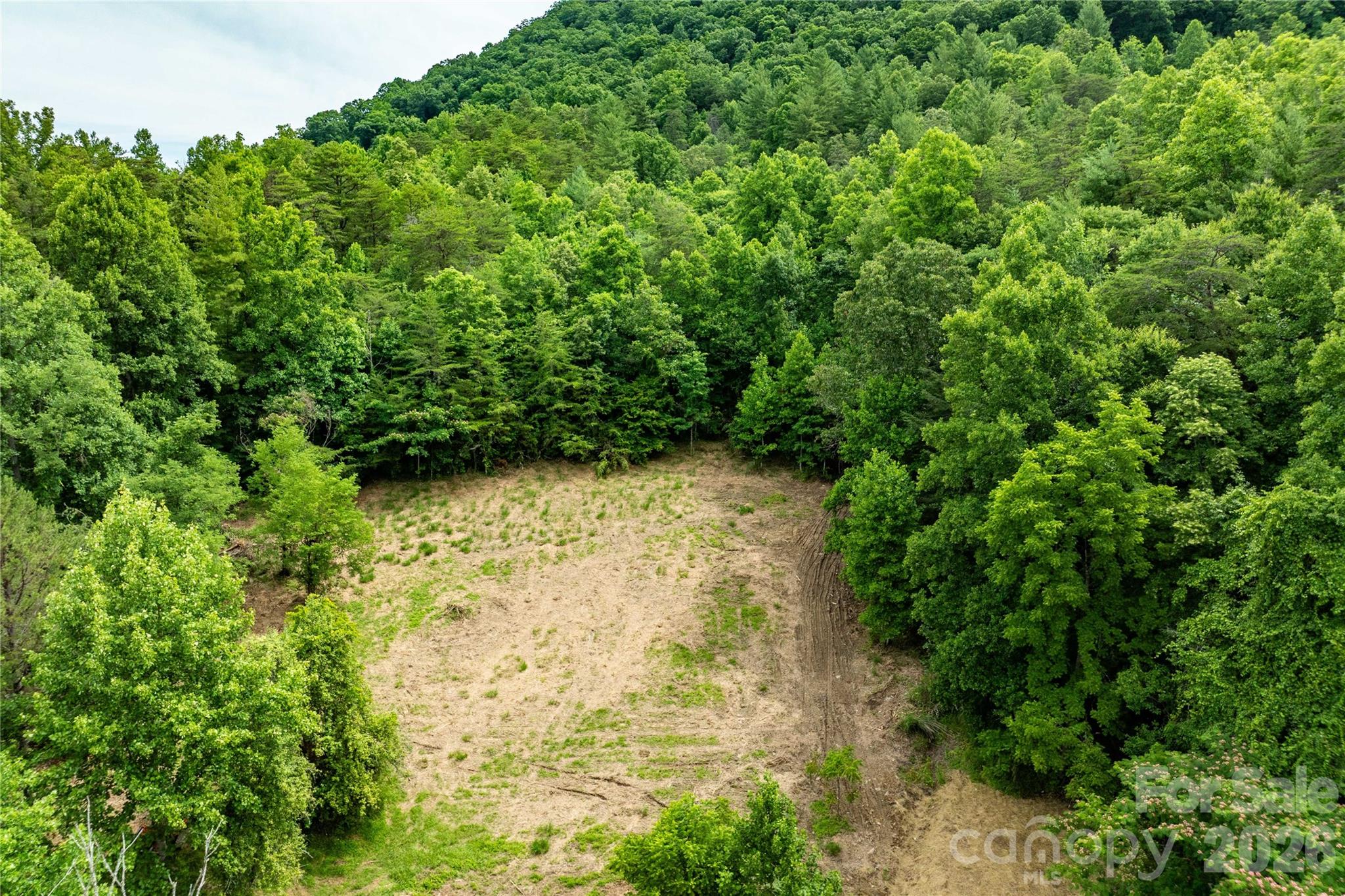 9999 Morgan Branch Road Weaverville, NC 28787 - Photo 7 of 24