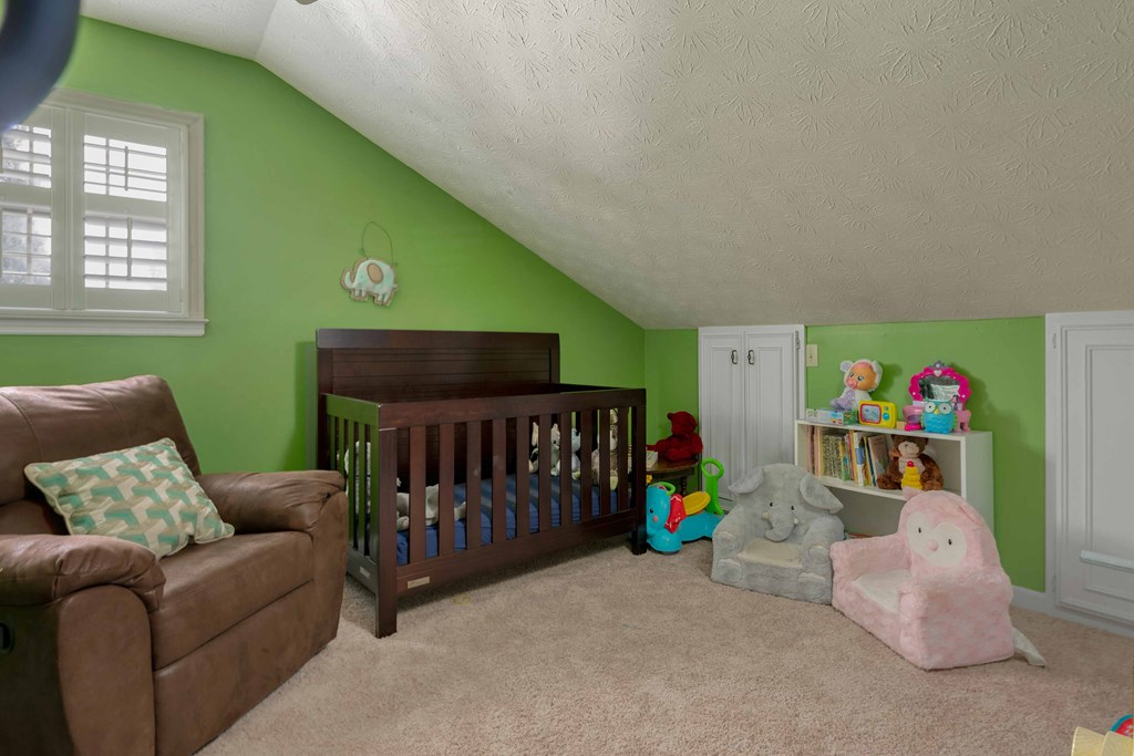 160 Willow Beach Road Ellerslie, GA 31807 - Photo 24 of 35 Gallery Image 24