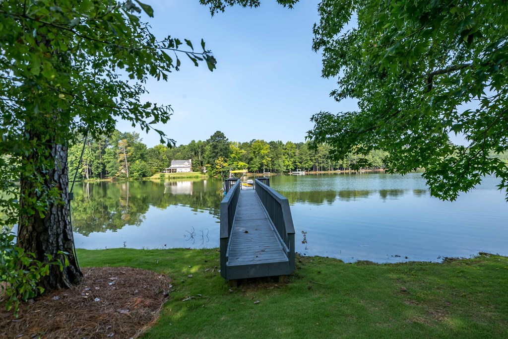 160 Willow Beach Road Ellerslie, GA 31807 - Photo 30 of 35 Gallery Image 30